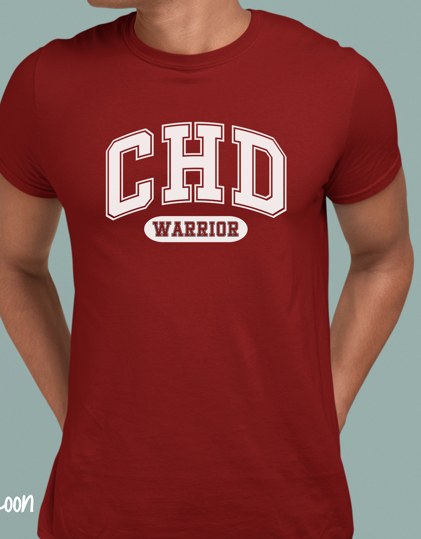 CHD Warrior Shirt, Heart Warrior Shirt, CHD Awareness Shirt, Cardiologist Shirt, February We Wear Red Shirt, CHD Support